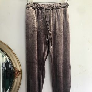 Velvet jogger